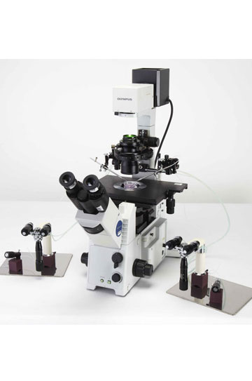 Microscope Sales and Services in Chennai