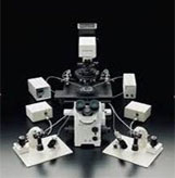 Microscope Sales and Services in Chennai